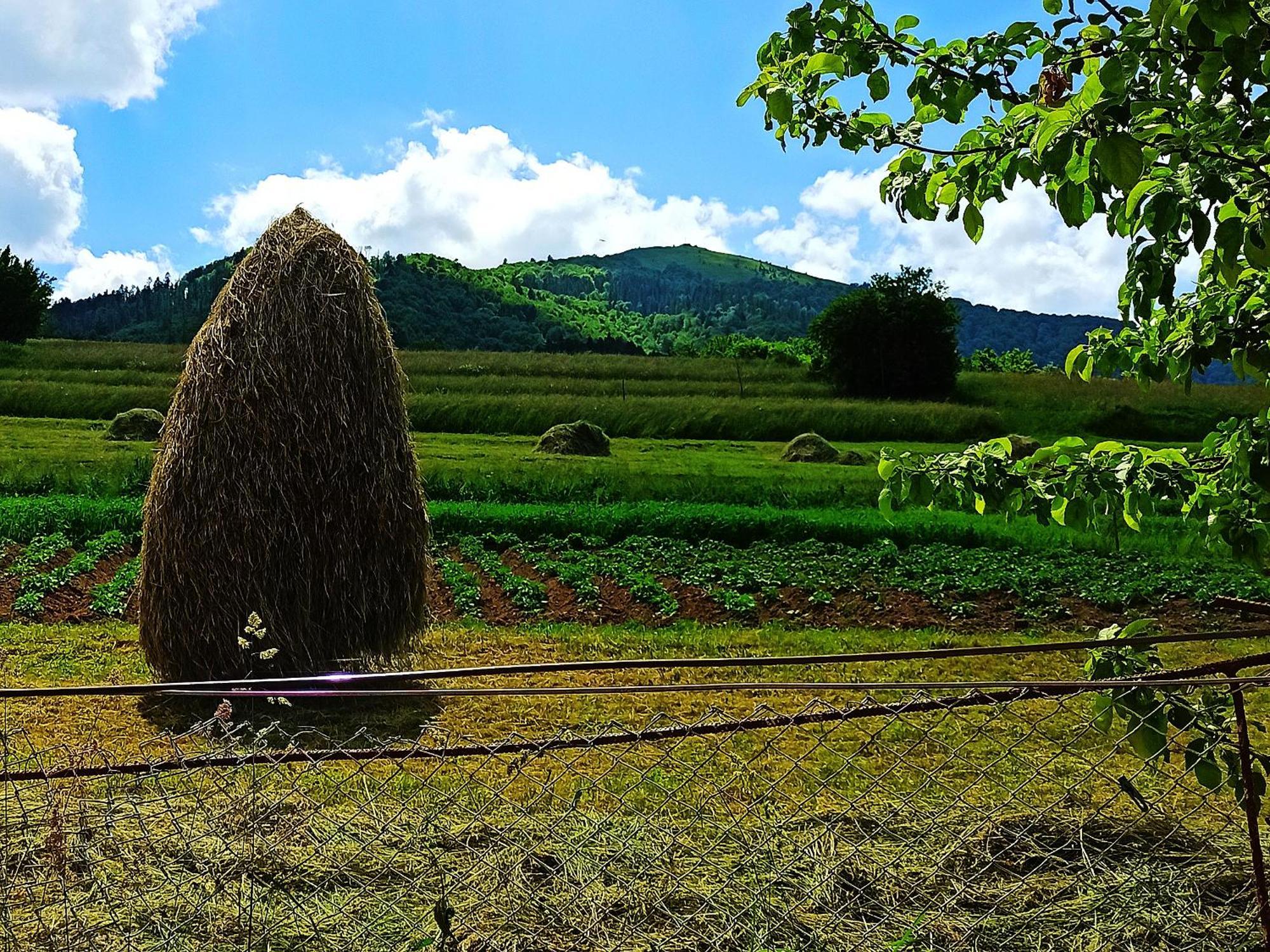 Садиба" У Василя" Bed & Breakfast Volovets Exterior photo